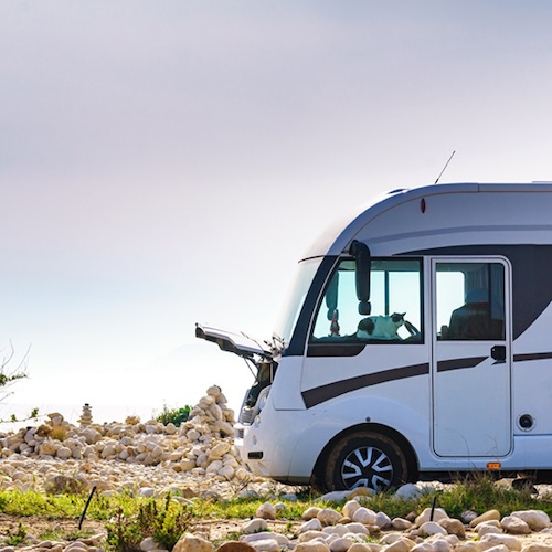 Servicing Insurance Repairs Small Square