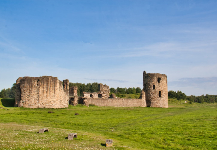 Flintshire castle